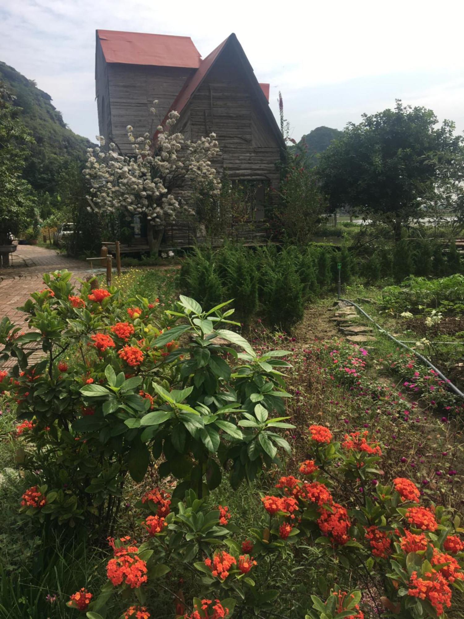 فندق Trang An Secret Garden نينه بينه المظهر الخارجي الصورة