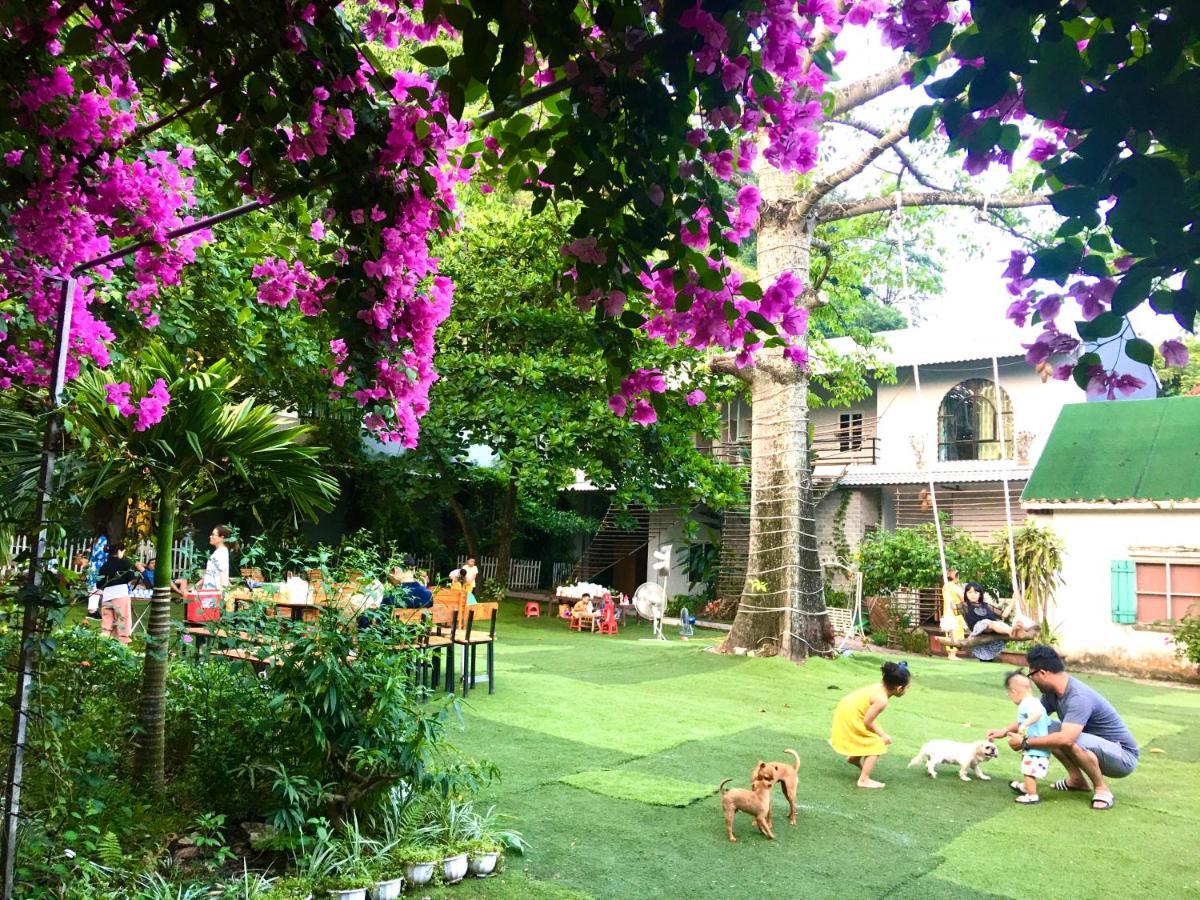 فندق Trang An Secret Garden نينه بينه المظهر الخارجي الصورة